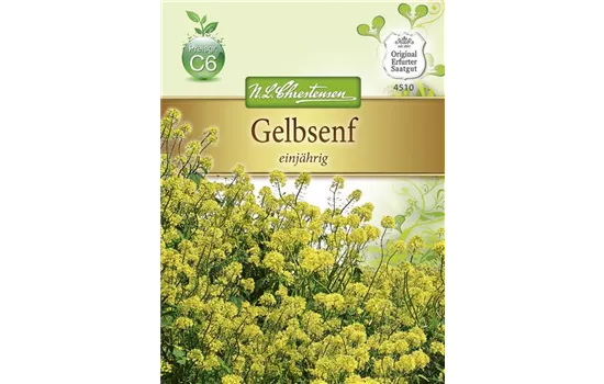 Gelbsenfsamen Gelbsenfsamen