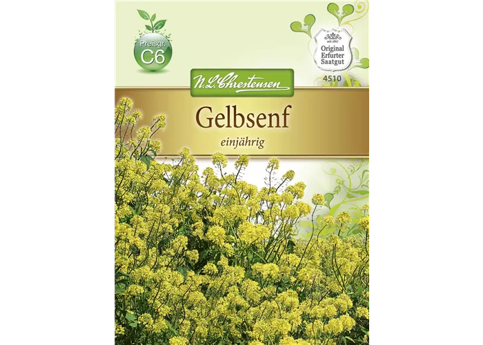 Gelbsenfsamen Gelbsenfsamen