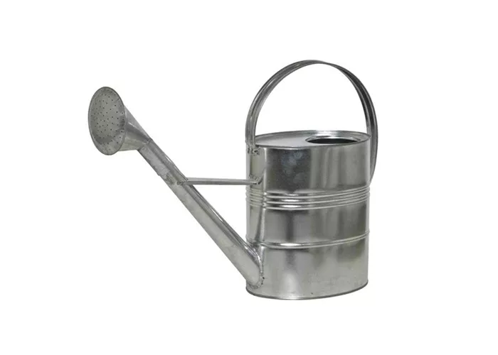 Siena Garden Gießkanne 10 Liter verzinkt in silber Stahlblech Siena Garden Gießkanne 10 Liter verzinkt in silber Stahlblech