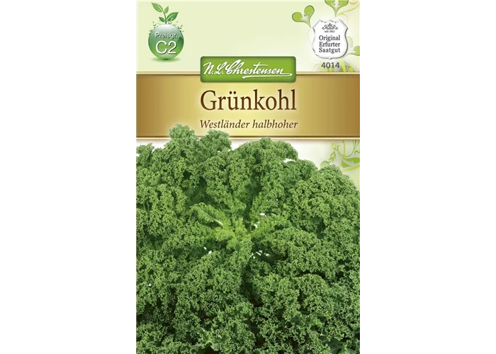 Grünkohlsamen 'Westländer halbhoher' Grünkohlsamen 'Westländer halbhoher'