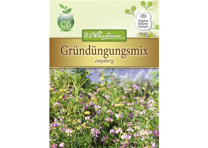 Gründungsmix-Samen Gründungsmix-Samen