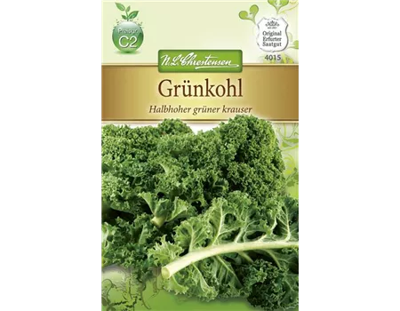 Grünkohlsamen 'Halbhoher Grüner Krauser'