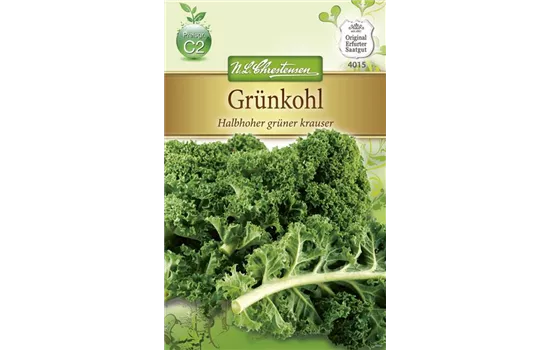 Grünkohlsamen 'Halbhoher Grüner Krauser' Grünkohlsamen 'Halbhoher Grüner Krauser'