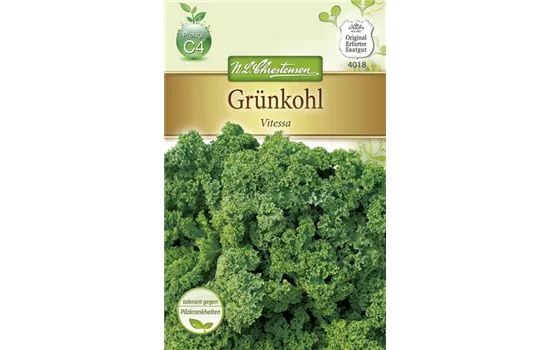 Grünkohlsamen 'Vitessa' Grünkohlsamen 'Vitessa'