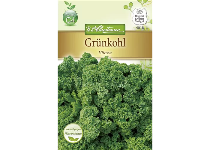 Grünkohlsamen 'Vitessa' Grünkohlsamen 'Vitessa'