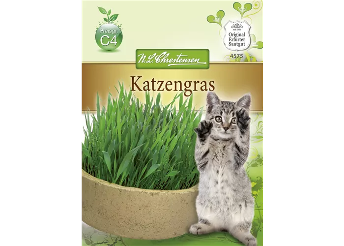 Katzengrassamen