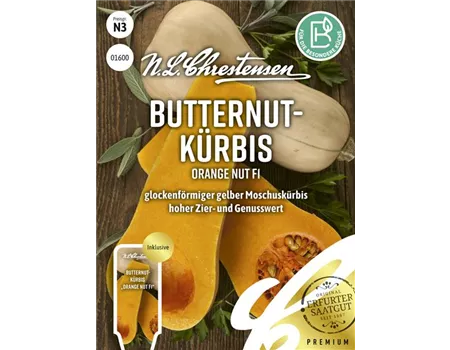 Kürbissamen 'Orange Nut' Kürbissamen 'Orange Nut'