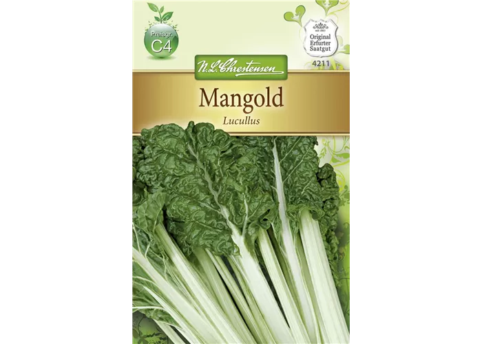 Mangoldsamen 'Lucullus'