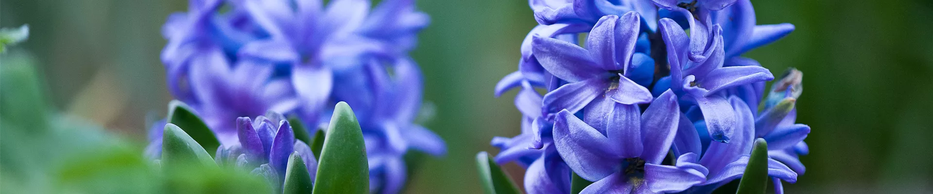 20090404-1N4R7615 20090404-1N4R7615