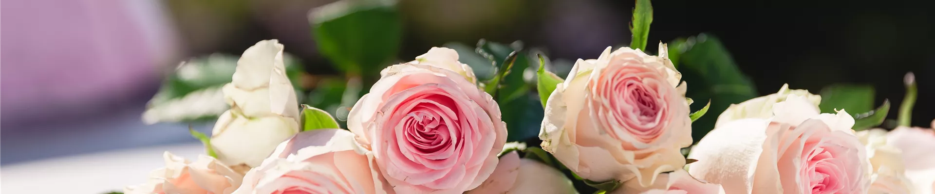 Schnittblumen Schnittblumen