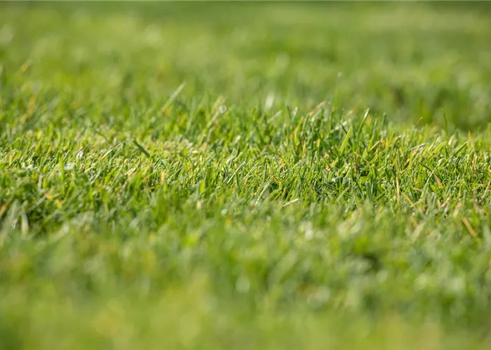 Bodenproben Bodenproben