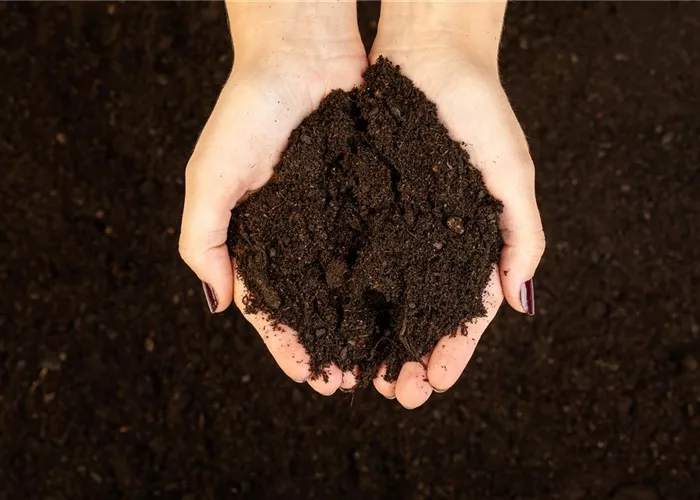 Erde und Substrate Erde und Substrate