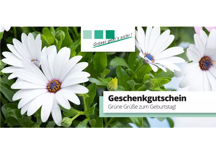 Individueller Gutschein Individueller Gutschein