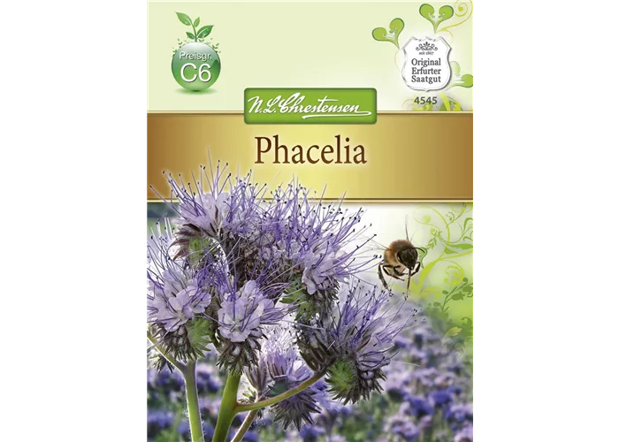 Phaceliasamen Phaceliasamen
