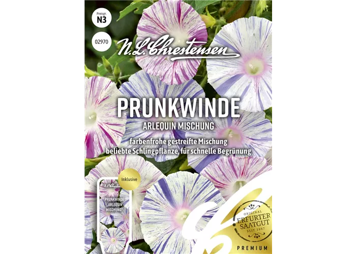 Prunkwindensamen 'Arlequin' Prunkwindensamen 'Arlequin'