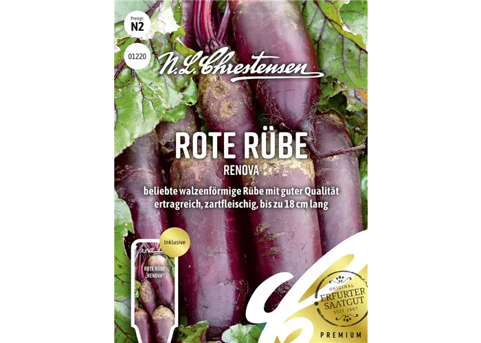 Rote Rübe-Samen 'Renova'