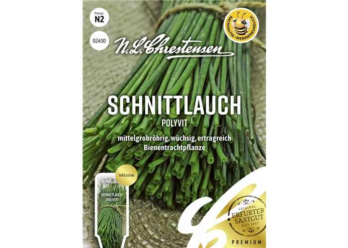 Schnittlauchsamen 'Polyvit'