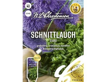 Schnittlauchsamen 'Staro'