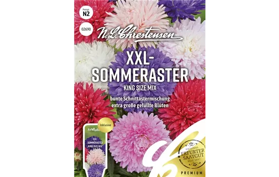 Sommerastersamen 'King Size Mix'