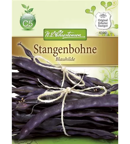 Stangenbohnensamen 'Blauhilde'