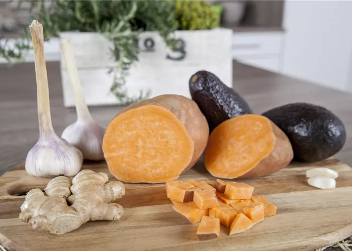 Süßkartoffel 'Erato'® Orange Süßkartoffel 'Erato'® Orange