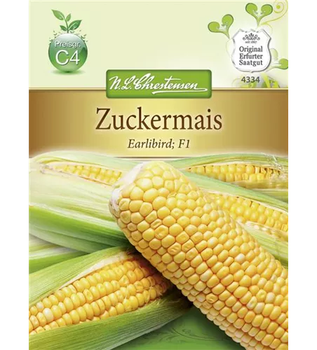 Zuckermaissamen 'Earlibird'