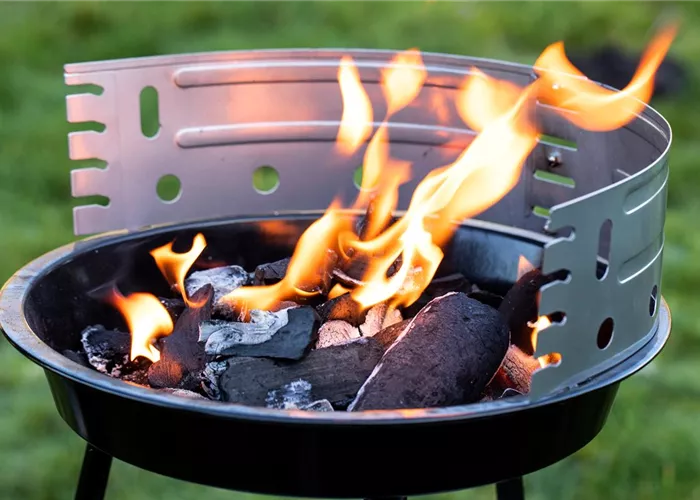 Grills Grills