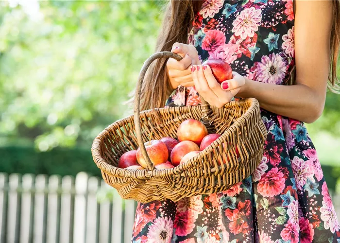 Gartenhilfsmittel Gartenhilfsmittel