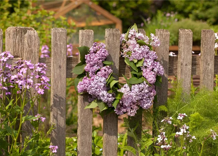 Gartenzäune und Sichtschutz Gartenzäune und Sichtschutz
