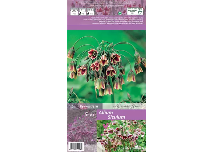 Bulgarischer Honiglauch