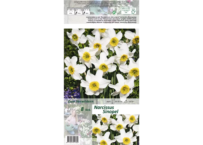 Dichter-Narzisse 'Sinopel'