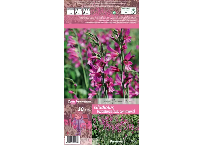 Gewöhnliche Siegwurz