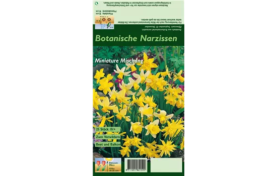 Narzisse 'Botanische Mischung'