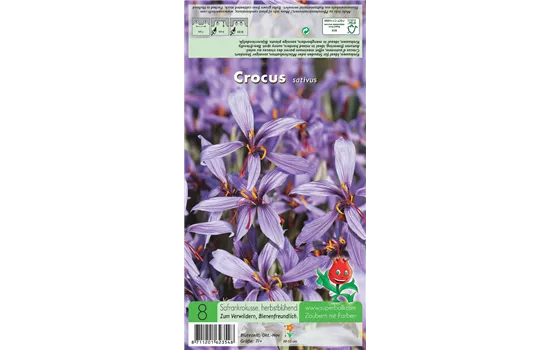Safran-Krokus