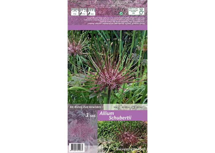 Schuberts Zier-Lauch