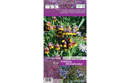 Türkische Schachbrettblume