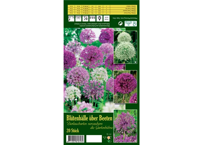 Zierlauch 'Blütenbälle über Beeten'