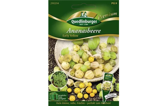 Ananasbeerensamen 'Early Yellow' Ananasbeerensamen 'Early Yellow'