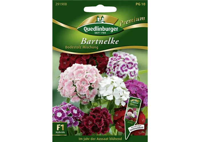 Bartnelkensamen 'Bodestolz'