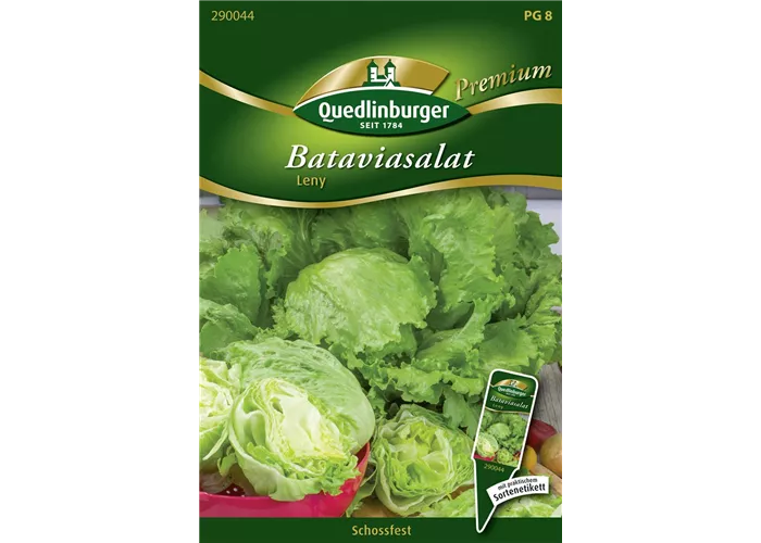 Batavia-Salat-Samen 'Leny'