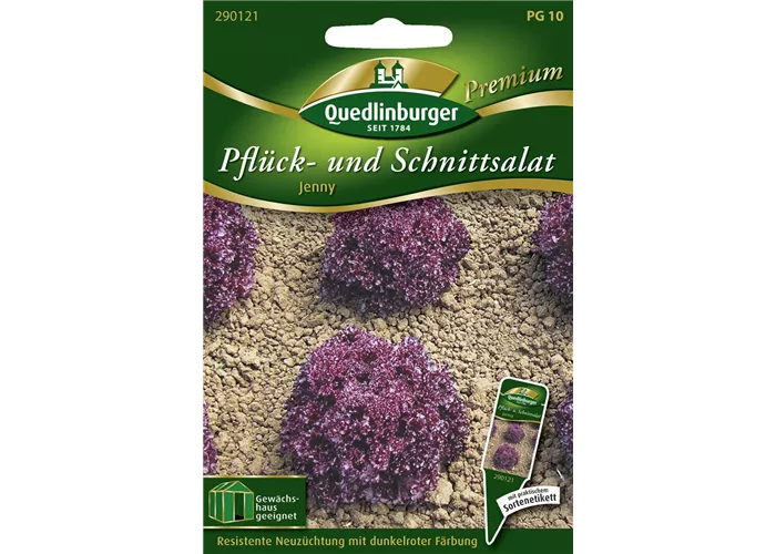 Eichblattsalatsamen 'Jenny'