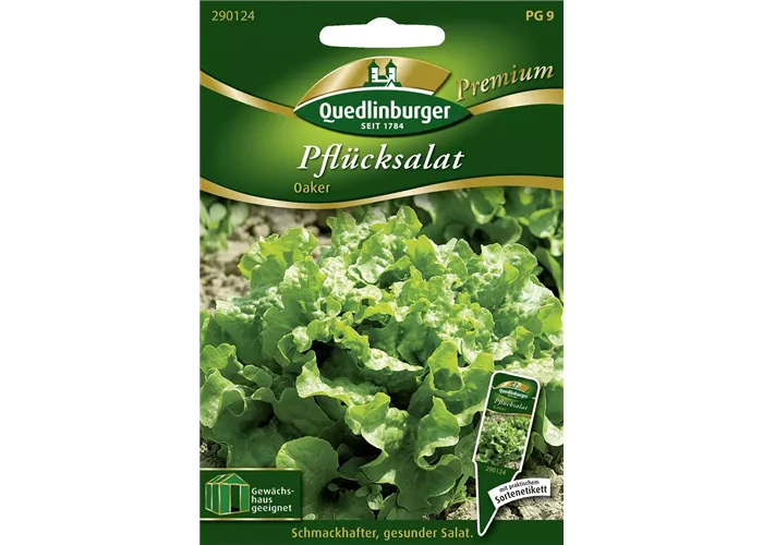 Eichblattsalatsamen 'Oaker'