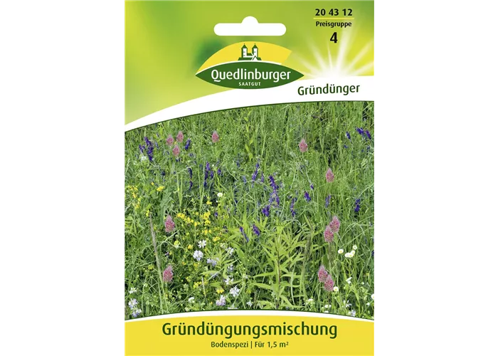 Gründüngung-Samen Gründüngung-Samen