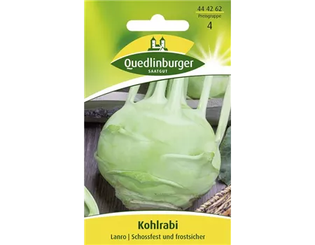 Kohlrabisamen 'Lanro'
