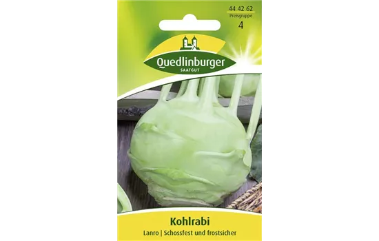 Kohlrabisamen 'Lanro' Kohlrabisamen 'Lanro'