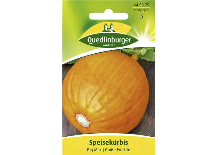 Kürbissamen 'Big Max'