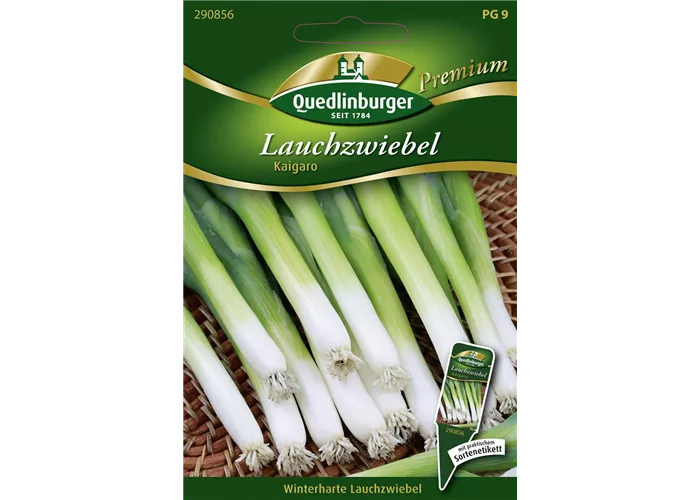 Lauchzwiebelsamen 'Kaigaro'