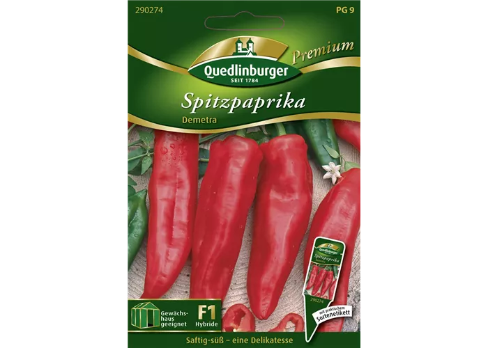Paprikasamen 'Demetra'