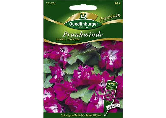 Prunkwindensamen 'Sunrise Serenade' Prunkwindensamen 'Sunrise Serenade'