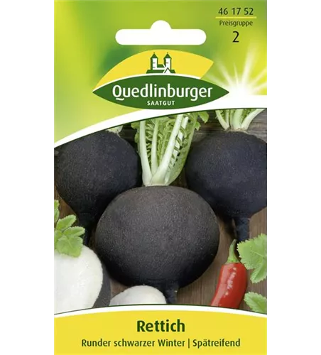 Rettichsamen 'Runder Schwarzer Winter'